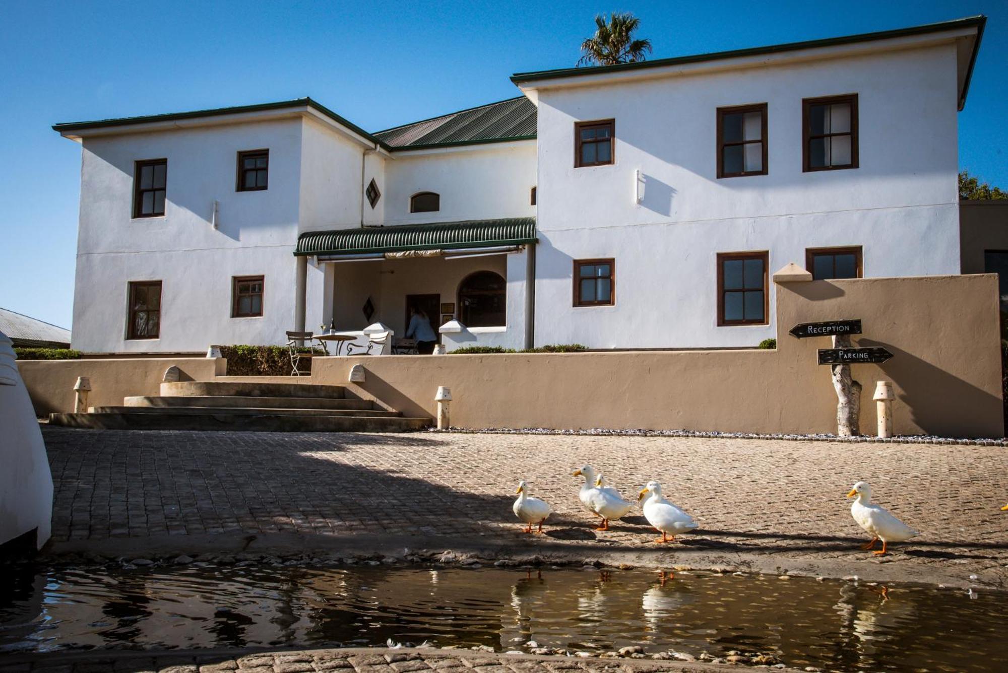 Bed and Breakfast Grootvlei Guest Farm Lambertʼs Bay Exterior foto